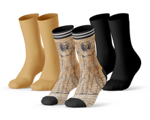 Afbeelding in Gallery-weergave laden, 3-pack Sock My Da Vinci Vitruviusman