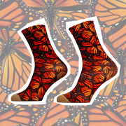 Sock my Autumn Butterfly