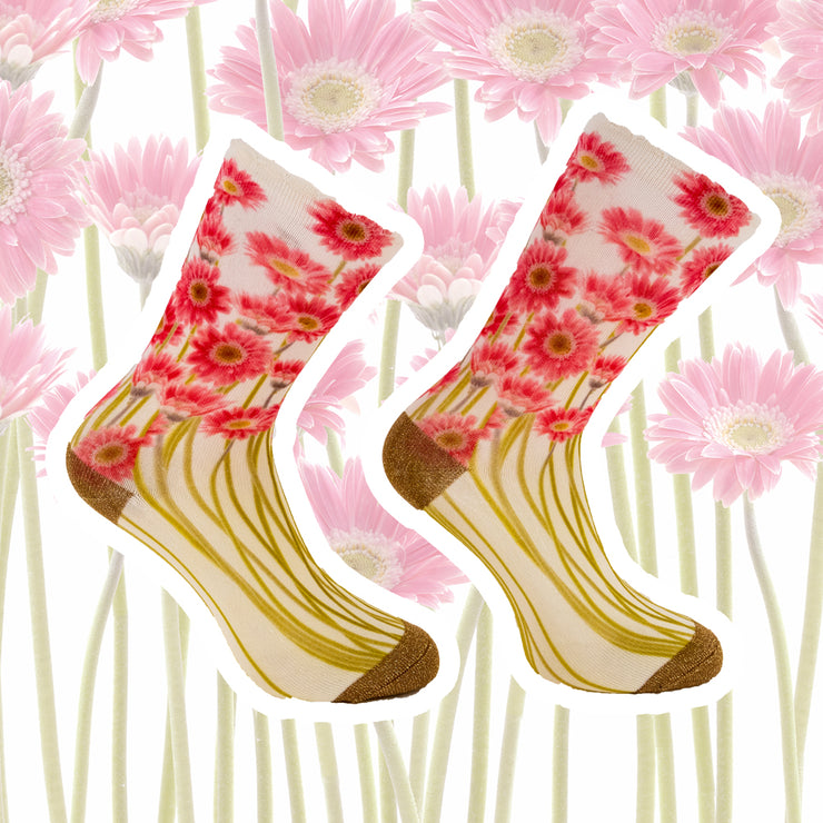 Sock My Pink Sunflowers