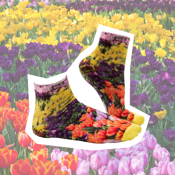 Sock My Tulips